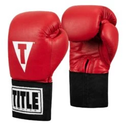 TITLE Boxing USA Boxing Competition Gloves - Elastic -Power Punch ACGES RD 02