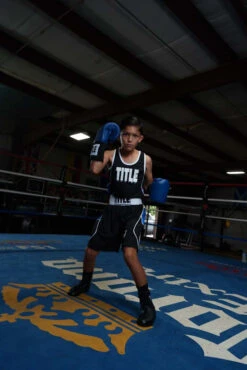 TITLE Boxing USA Boxing Competition Gloves - Elastic -Power Punch ACGESBL 1