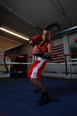 TITLE Boxing USA Boxing Competition Gloves - Elastic -Power Punch ACGESRD 3