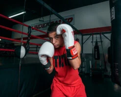 TITLE Boxing All Heart Bag Gloves 2.0 -Power Punch AHABG2WHRD 1