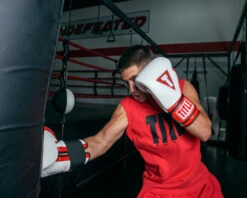 TITLE Boxing All Heart Bag Gloves 2.0 -Power Punch AHABG2WHRD 2