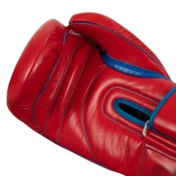 TITLE Boxing Throwback 1998 Anniversary Bag Glove -Power Punch AVTFBG RD BL 5