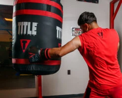 TITLE Boxing Throwback 1998 Anniversary Bag Glove -Power Punch AVTFBGBK 2