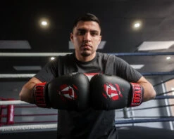 TITLE Classic Shredded Boxing Gloves -Power Punch CABG10BKRD 1