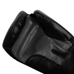 TITLE Classic Speed Boxing Gloves -Power Punch CABG12 BK GR 5