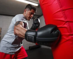 TITLE Classic Speed Boxing Gloves -Power Punch CABG12BKGR 1