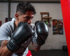 TITLE Classic Speed Boxing Gloves -Power Punch CABG12BKGR 2