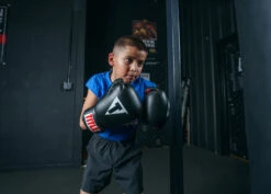 TITLE Classic Boxing Gloves -Power Punch CABGBKRD 3