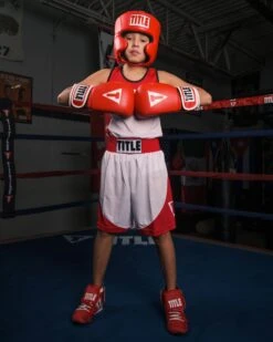 TITLE Classic USA Boxing Competition Headgear – With Cheeks -Power Punch CACHX RD