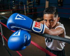 TITLE Classic Pro Style Training Gloves 3.0 -Power Punch CVVTG3BL 1