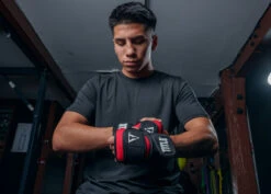 TITLE Boxing Deluxe Weighted Gloves 2.0 -Power Punch DWH2BKRD 1