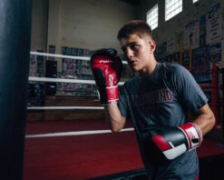 Fighting Big Logo Bag Gloves -Power Punch FSABG2BKRD 3