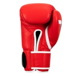 Fighting Fury Professional Training Gloves -Power Punch FSFTGE RD 04