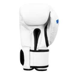 Fighting Fury Professional Training Gloves -Power Punch FSFTGE WH 04