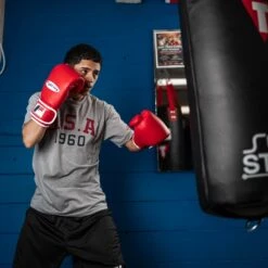 Fighting Fury Professional Training Gloves -Power Punch FSFTGERD