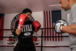 Fighting Fury Professional Training Gloves -Power Punch FSFTGERD 2