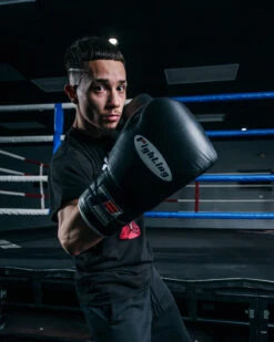 Fighting Fury Professional Lace Training Gloves -Power Punch FSFTGLBK 2