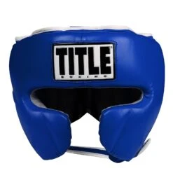 TITLE Boxing Leather Sparring Headgear -Power Punch FTHG BL 2