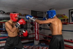 TITLE Boxing Leather Sparring Headgear -Power Punch FTHGBL