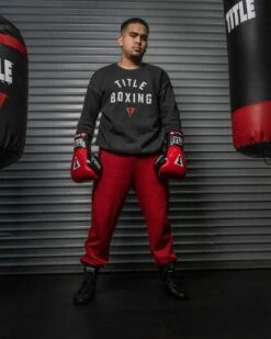 TITLE Boxing Gel Glory Super Bag Gloves 2.0 -Power Punch GGASBG2RDBK