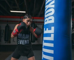 TITLE Boxing Guts And Glory Bag Gloves -Power Punch GGBGBKRD 1