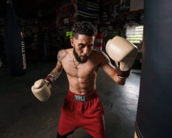 TITLE Boxing Honorary Bag Gloves -Power Punch GOSBGTNMR 1