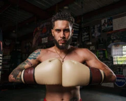 TITLE Boxing Honorary Bag Gloves -Power Punch GOSBGTNMR 2