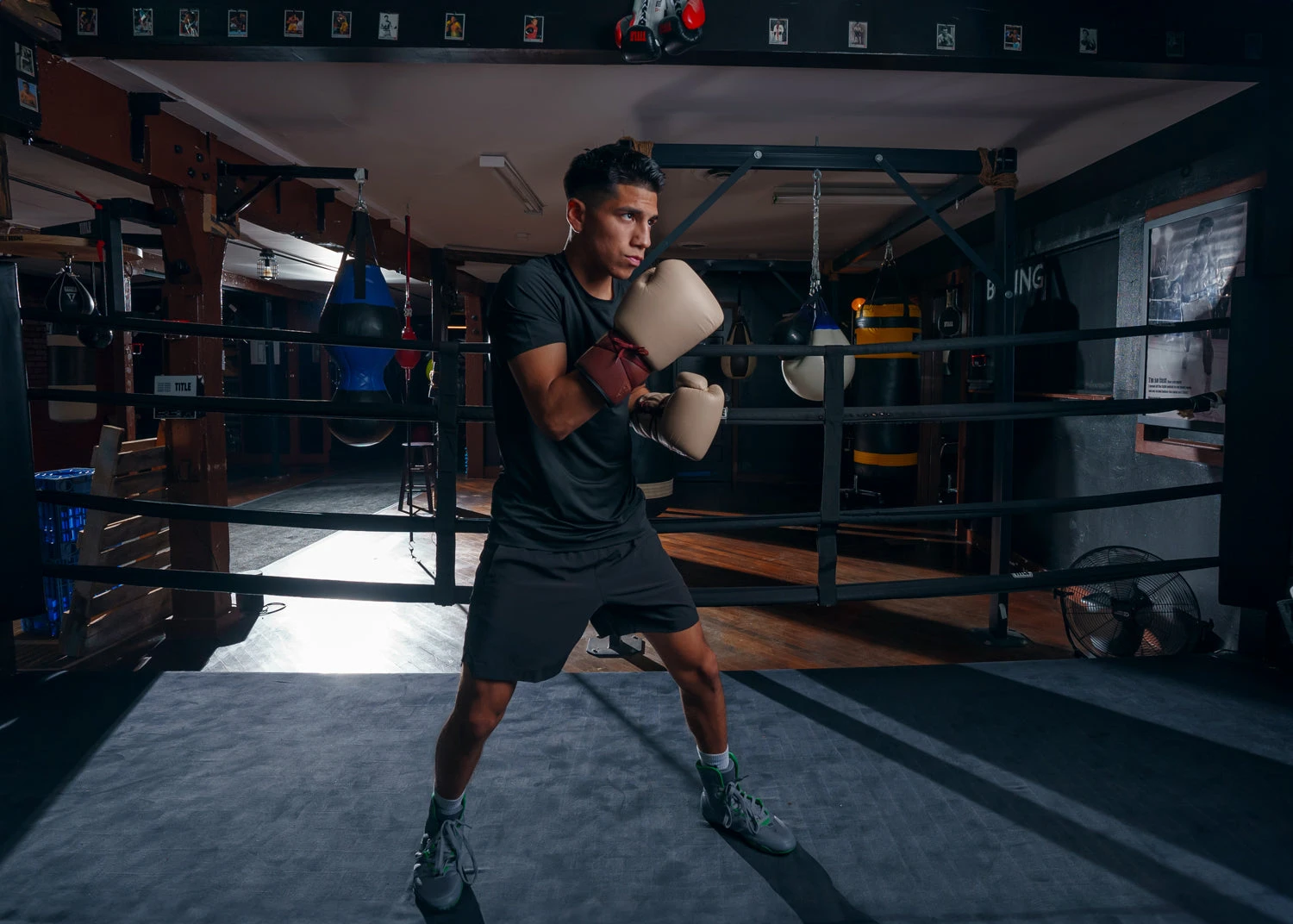 TITLE Boxing Honorary Sparring Gloves 12 TITLE Boxing Honorary Sparring Gloves - Image 10