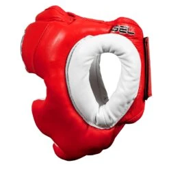 TITLE Boxing Gel World Full Face Training Headgear -Power Punch GTHGF RD 3