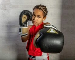 TITLE Boxing Gel World V2T Bag Gloves -Power Punch GTWBGV2T BK GD WH