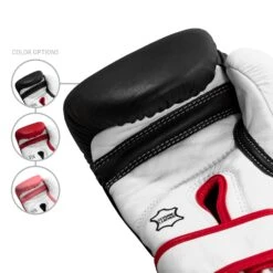 TITLE Boxing Home Conditioning Bundle -Power Punch GTWBG 5