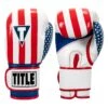 TITLE Boxing Infused Foam Combat USA Training Gloves -Power Punch HIFUTG 1