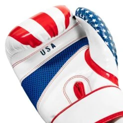 TITLE Boxing Infused Foam Combat USA Training Gloves 16 TITLE Boxing Infused Foam Combat USA Training Gloves -Power Punch HIFUTG 5