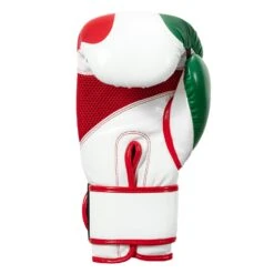 TITLE Boxing Infused Foam El Combate Mexico Training Gloves 15 TITLE Boxing Infused Foam El Combate Mexico Training Gloves -Power Punch HIFXTG 4 b85957ca 7880 464f a065 66deb14b8b2c