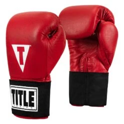 TITLE Boxing Masters USA Boxing Competition Gloves - Elastic 25 TITLE Boxing Masters USA Boxing Competition Gloves - Elastic -Power Punch MACGES RD 02