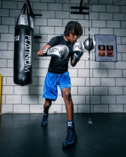 TITLE Platinum Prolific Boxing Bag Gloves -Power Punch PLBGSV 1