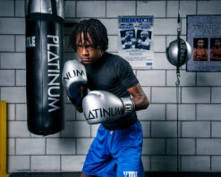 TITLE Platinum Prolific Boxing Bag Gloves -Power Punch PLBGSV 2