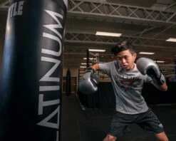 TITLE Platinum Prolific Training Gloves -Power Punch PLTGSVBK 1 1