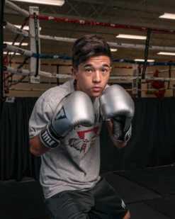 TITLE Platinum Prolific Training Gloves -Power Punch PLTGSVBK 1 2