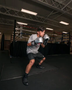 TITLE Platinum Prolific Training Gloves -Power Punch PLTGSVBK 1 3