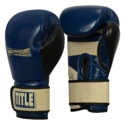 TITLE Boxing Rock Steady Leather Training Gloves 17 TITLE Boxing Rock Steady Leather Training Gloves -Power Punch RSBVLTTG BL TN 2