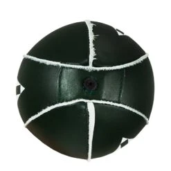 TITLE Boxing Super Speed Bags -Power Punch SB4 2