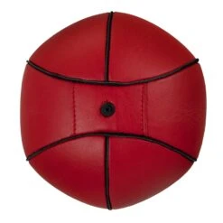 TITLE Boxing Super Speed Bags -Power Punch SB6 2