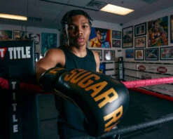 TITLE Boxing Sugar Ray Leonard Leather Bag Gloves -Power Punch SRLBG 2 1