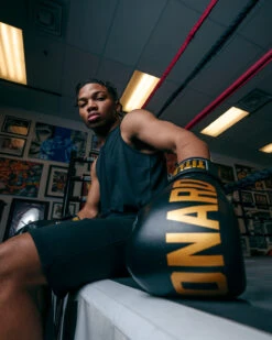 TITLE Boxing Sugar Ray Leonard Leather Bag Gloves -Power Punch SRLBG 2 2