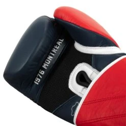 TITLE Boxing Sugar Ray Leonard 1976 Montreal Special Edition Leather Training Gloves -Power Punch SRLOTG 5