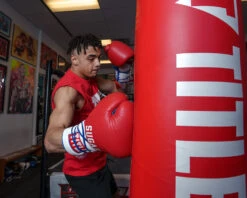 TITLE Boxing Sugar Ray Leonard Signature Leather Sparring Gloves 22 TITLE Boxing Sugar Ray Leonard Signature Leather Sparring Gloves -Power Punch SRLSLSG 4 3