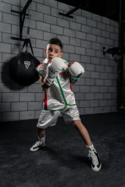 TITLE Boxing Sleeveless Ring Vest -Power Punch SSTVWH RD GN