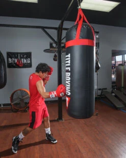 TITLE Boxing Titanic Flex-Strike Heavy Bag -Power Punch STRK3