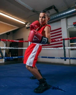 TITLE Boxing Aerovent Elite Amateur Boxing Set 2.0 -Power Punch TABS20RD 3